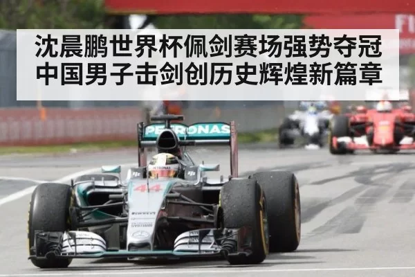沈晨鹏世界杯佩剑赛场强势夺冠中国男子击剑创历史辉煌新篇章