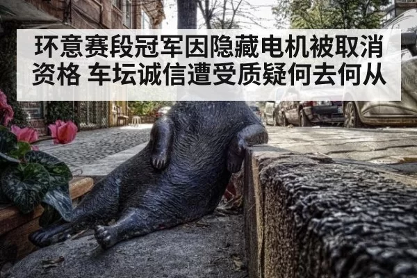 环意赛段冠军因隐藏电机被取消资格 车坛诚信遭受质疑何去何从